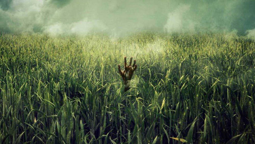 In The Tall Grass Will Open The  2019 Sitges Film Festival